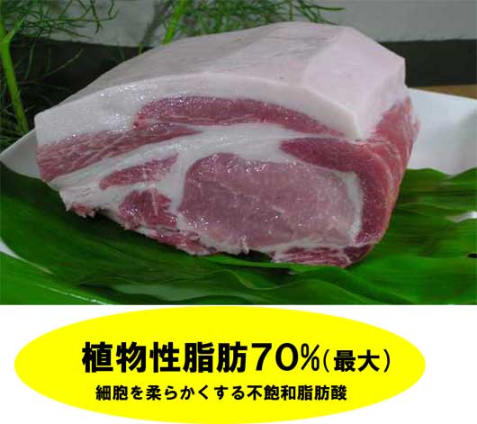ケミカルフリー　秋田太陽　ポーク