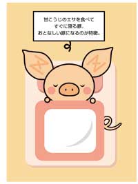 秋田ｚ