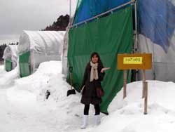 秋田z