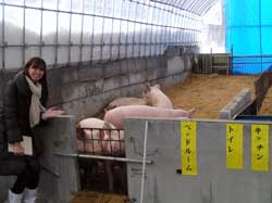 甘こうじ豚